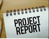 Reports From Focus Leads and Project Work